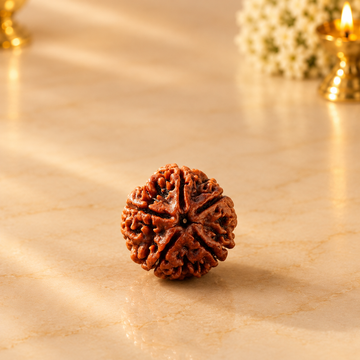 5 Mukhi Nepali Rudraksha – Spiritual Protection, Peace & Positive Energy
